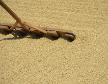 Load image into Gallery viewer, Café Pampojila - GUATEMALA