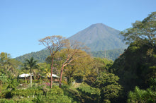 Load image into Gallery viewer, Café Pampojila - GUATEMALA