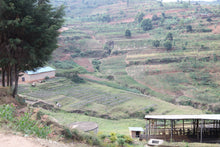 Charger l'image dans la galerie, Café Titus - RWANDA