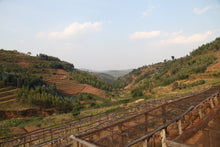 Charger l'image dans la galerie, Café Titus - RWANDA