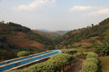 Charger l'image dans la galerie, Café Titus - RWANDA