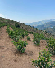 Charger l'image dans la galerie, Café Titus - RWANDA