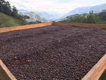 Load image into Gallery viewer, Café Suukala - COLOMBIE
