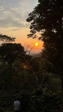 Cargar imagen en el visor de la galería, Café Mombacho - NICARAGUA
