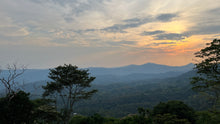 Cargar imagen en el visor de la galería, Café Mombacho - NICARAGUA
