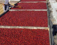 Cargar imagen en el visor de la galería, Café Finca España – SALVADOR
