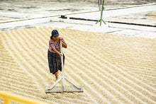 Load image into Gallery viewer, Café Pampojila - GUATEMALA
