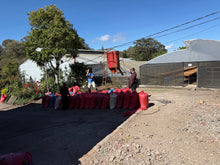 Load image into Gallery viewer, Café Los Papales - NICARAGUA
