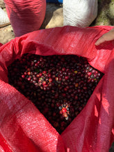 Load image into Gallery viewer, Café Los Papales - NICARAGUA
