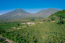 Load image into Gallery viewer, Café Pampojila - GUATEMALA
