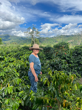 Cargar imagen en el visor de la galería, Café Villa Valentina - COLOMBIE
