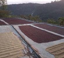 Cargar imagen en el visor de la galería, Café Santo Tómas - HONDURAS
